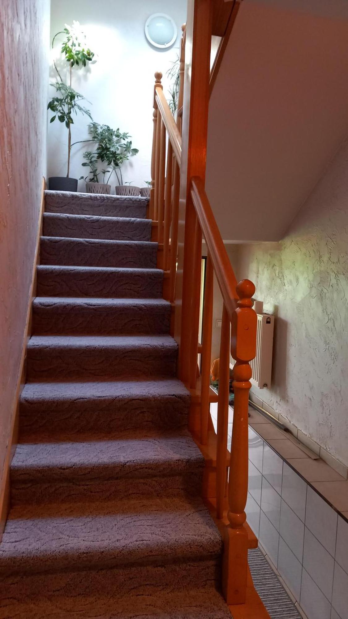 Zielone Zacisze Apartment Zagnansk Exterior photo